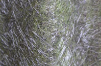 Whitehills fibreglass roof work